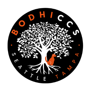 Bodhi Construction & Consulting Services