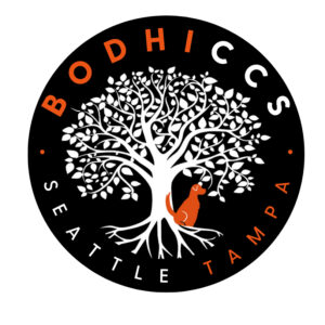 Bodhi Construction & Consulting Services