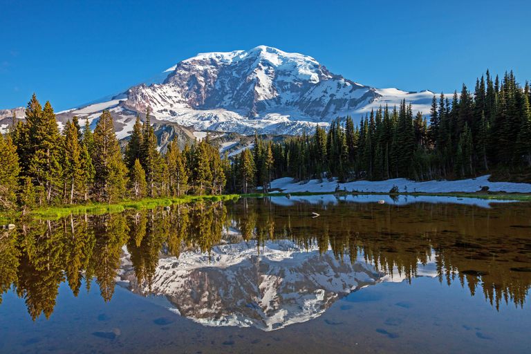 Day trip discoveries: Enjoy a local getaway to Mount Rainier National Park